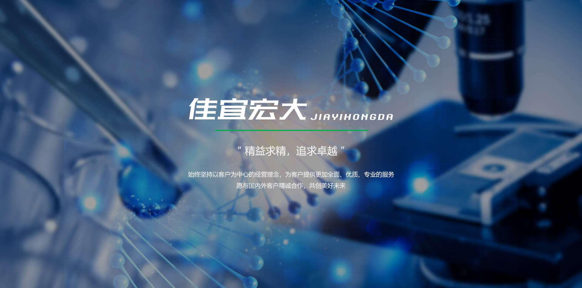 佳宜宏大化工
